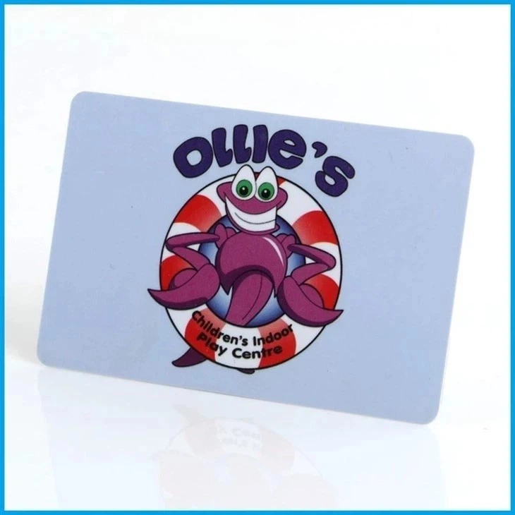 Fudan F08 Chip Card